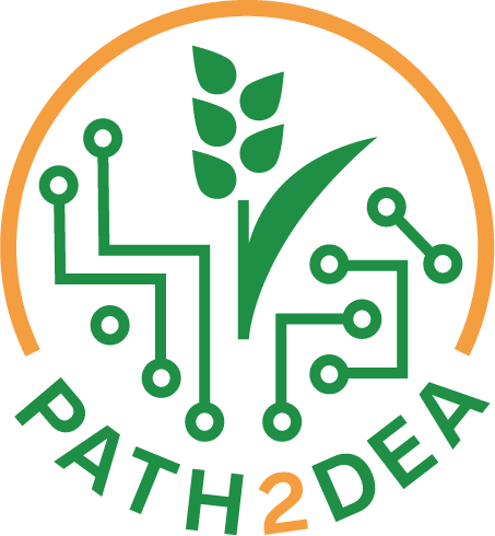 PATH2DEA Repository